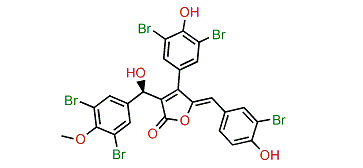 Cadiolide K